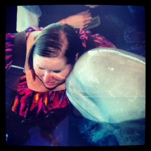 DONE: 1 Year, 160 New&nbsp;Experiences