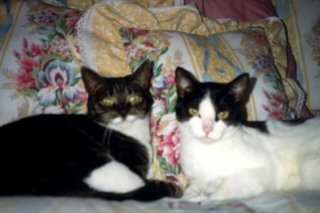 Happy Birthday America . . . and Betsey and&nbsp;Ross!