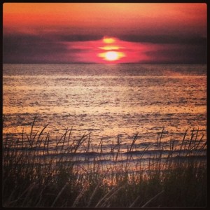 Join Me in the 100 Happy Days&nbsp;Challenge