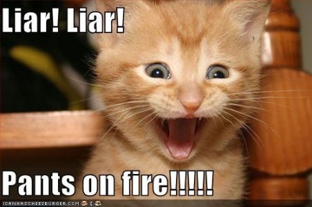 Lies My Parents Told&nbsp;Me