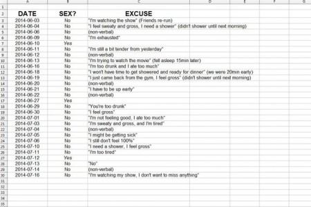 Sex Spreadsheets: Just Say&nbsp;NO!